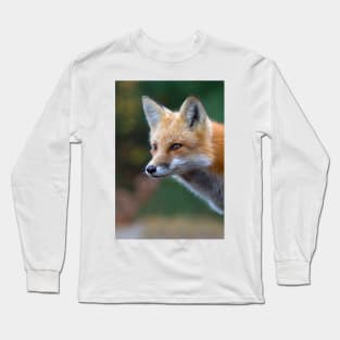 Red Fox - Algonquin Park, Canada Long Sleeve T-Shirt